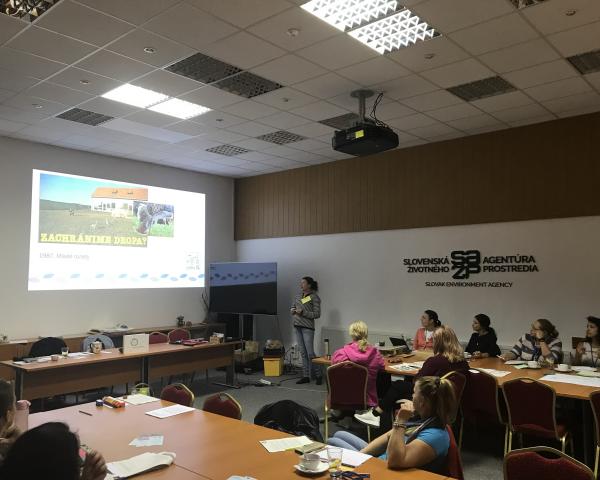 SAŽP rozvíja kompetencie učiteľov: úspešná jeseň inovačného vzdelávania