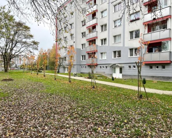 SAŽP spustila novú výzvu Zelené obce Slovenska 2. Na výsadbu zelene je pripravených takmer 5,4 milióna eur