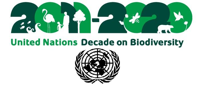 Logo United Nations Decade on Biodiversity